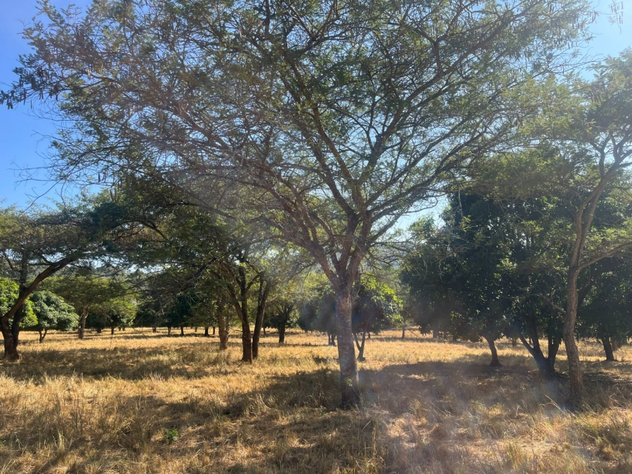 Commercial Property for Sale in Tzaneen Rural Limpopo