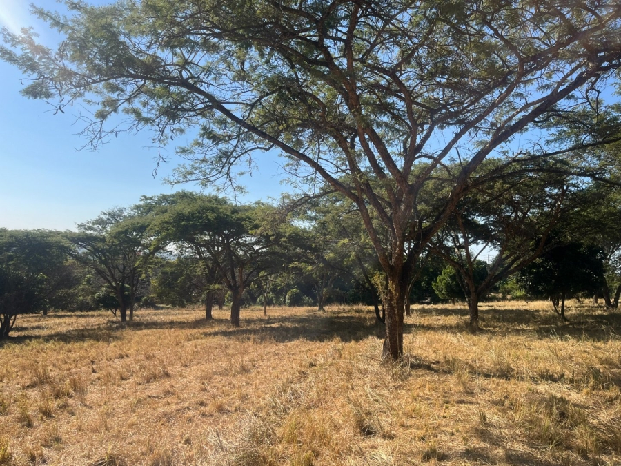 Commercial Property for Sale in Tzaneen Rural Limpopo