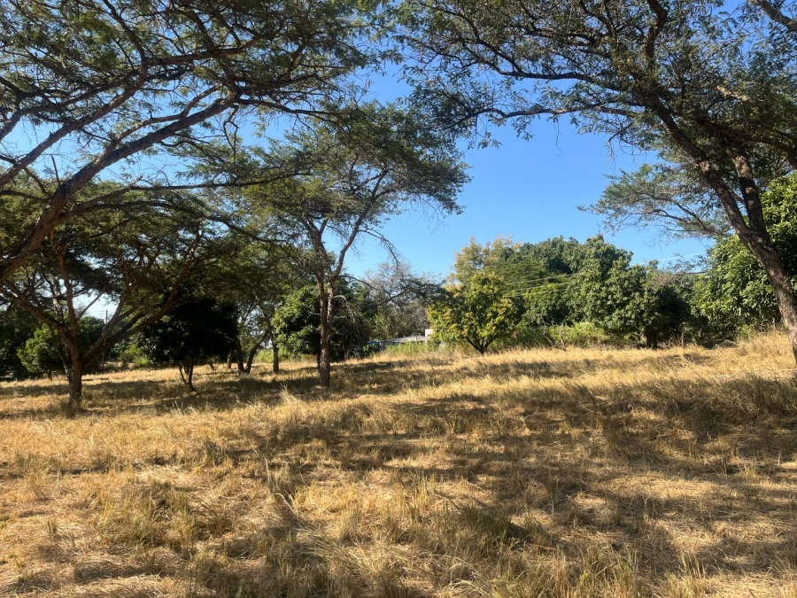 Commercial Property for Sale in Tzaneen Rural Limpopo