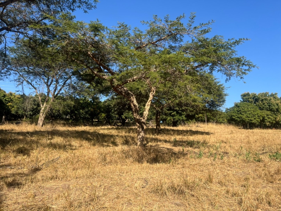 Commercial Property for Sale in Tzaneen Rural Limpopo