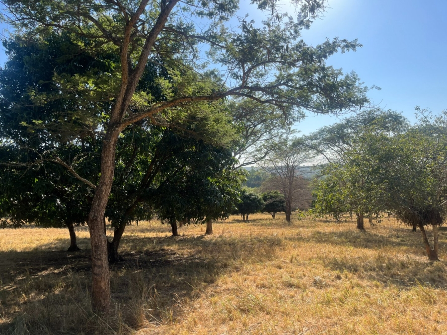 Commercial Property for Sale in Tzaneen Rural Limpopo