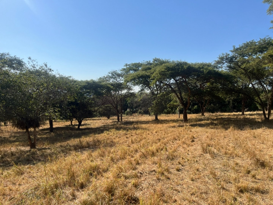Commercial Property for Sale in Tzaneen Rural Limpopo