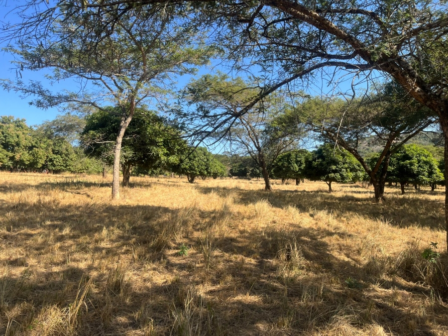 Commercial Property for Sale in Tzaneen Rural Limpopo
