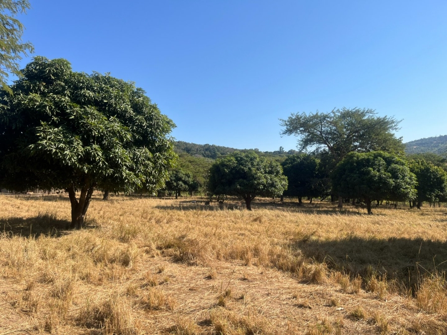 Commercial Property for Sale in Tzaneen Rural Limpopo