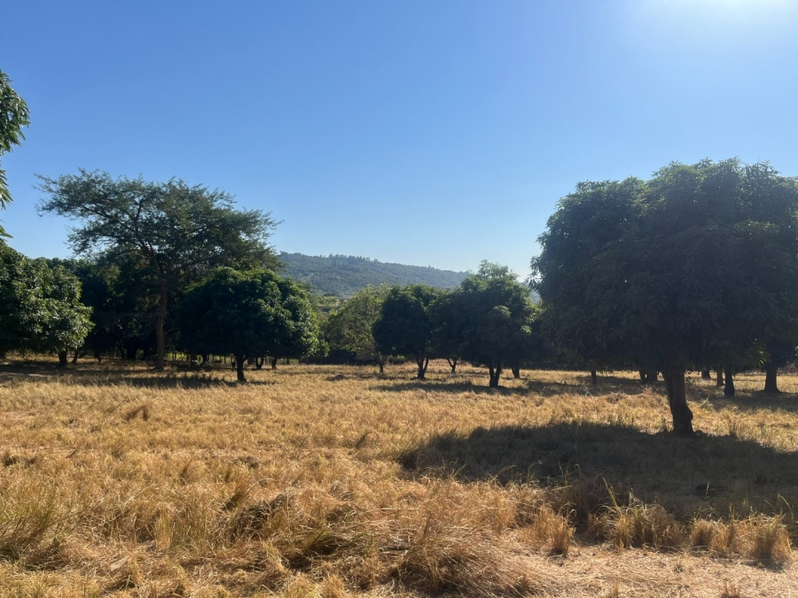 Commercial Property for Sale in Tzaneen Rural Limpopo