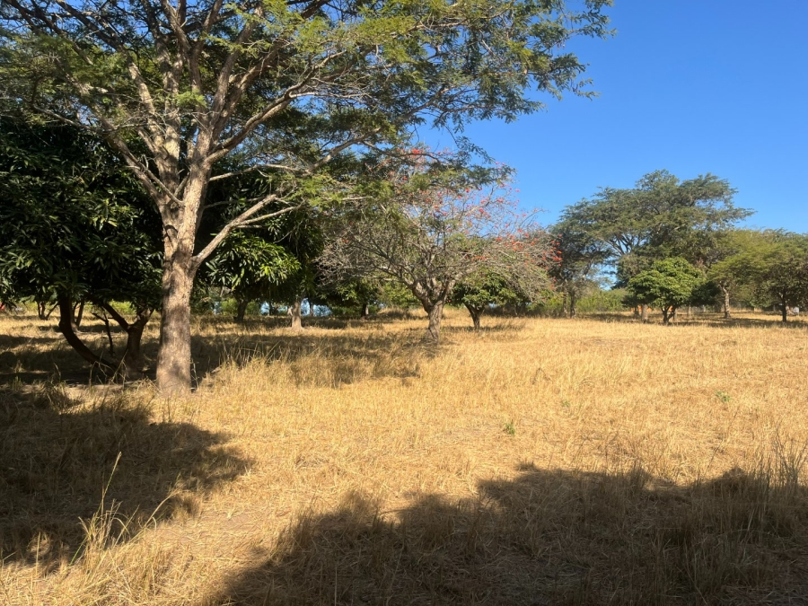 Commercial Property for Sale in Tzaneen Rural Limpopo