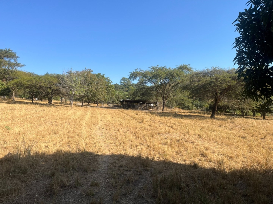Commercial Property for Sale in Tzaneen Rural Limpopo