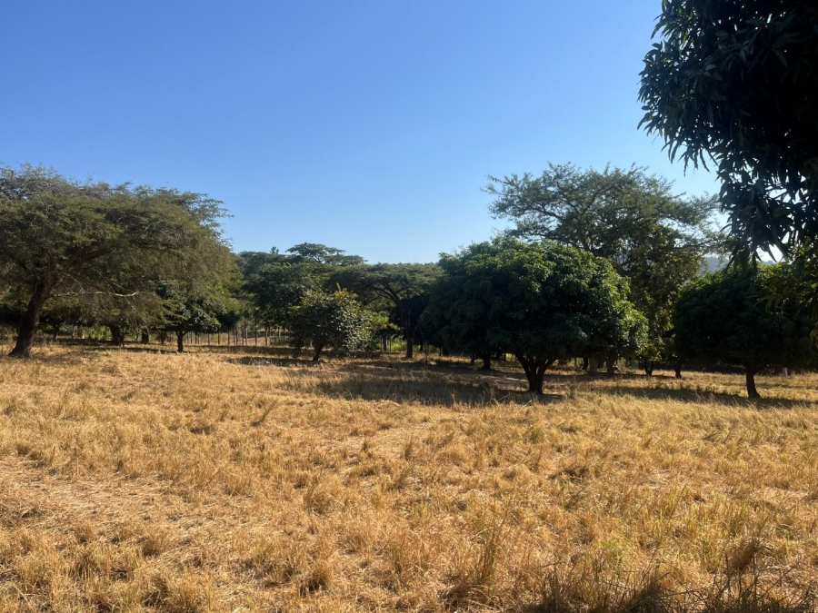 Commercial Property for Sale in Tzaneen Rural Limpopo
