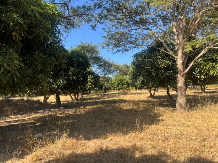 Commercial Property for Sale in Tzaneen Rural Limpopo