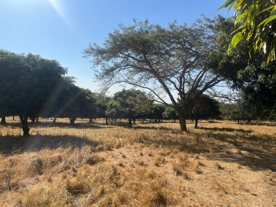 Commercial Property for Sale in Tzaneen Rural Limpopo