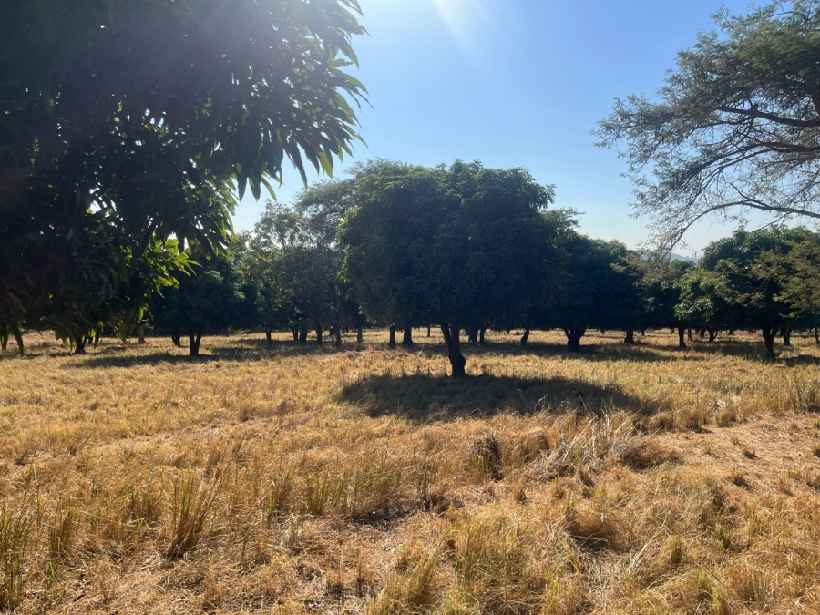 Commercial Property for Sale in Tzaneen Rural Limpopo