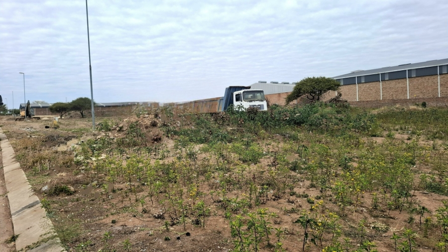 Commercial Property for Sale in Magna Via Industrial Limpopo