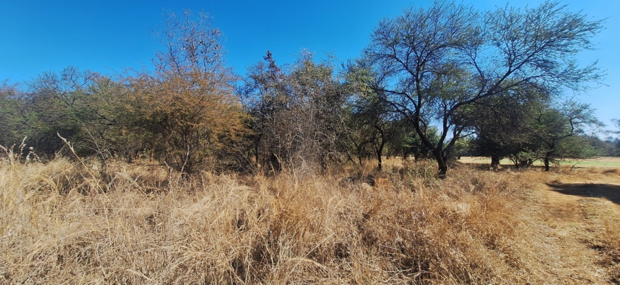 Commercial Property for Sale in Chroompark Limpopo