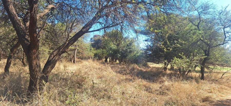 Commercial Property for Sale in Chroompark Limpopo