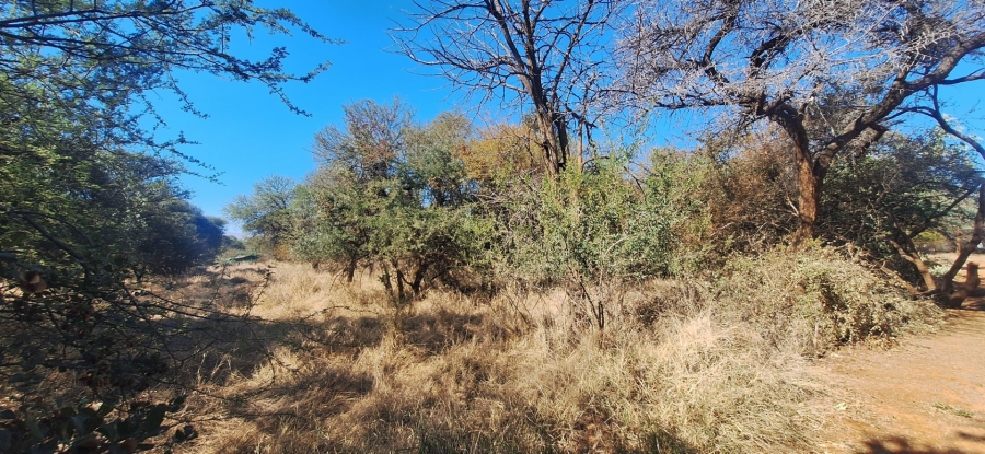 Commercial Property for Sale in Chroompark Limpopo