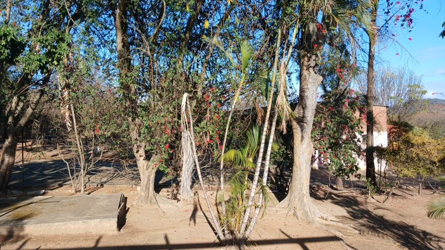 Commercial Property for Sale in Tzaneen Rural Limpopo