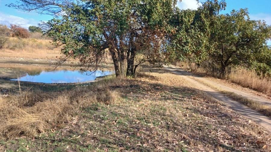 Commercial Property for Sale in Tzaneen Rural Limpopo