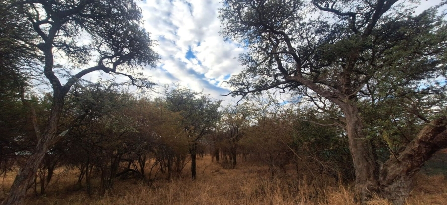 Commercial Property for Sale in Chroompark Limpopo
