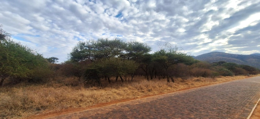 Commercial Property for Sale in Chroompark Limpopo