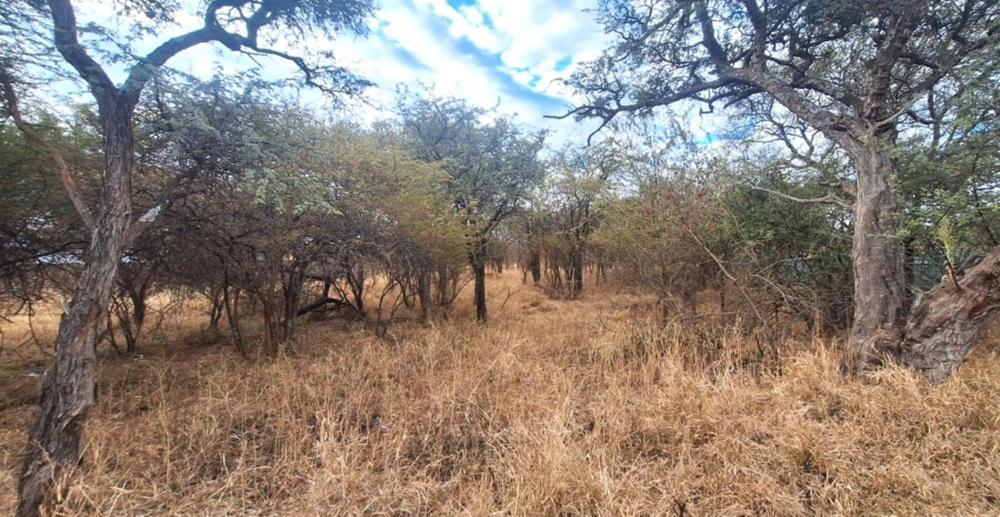 Commercial Property for Sale in Chroompark Limpopo