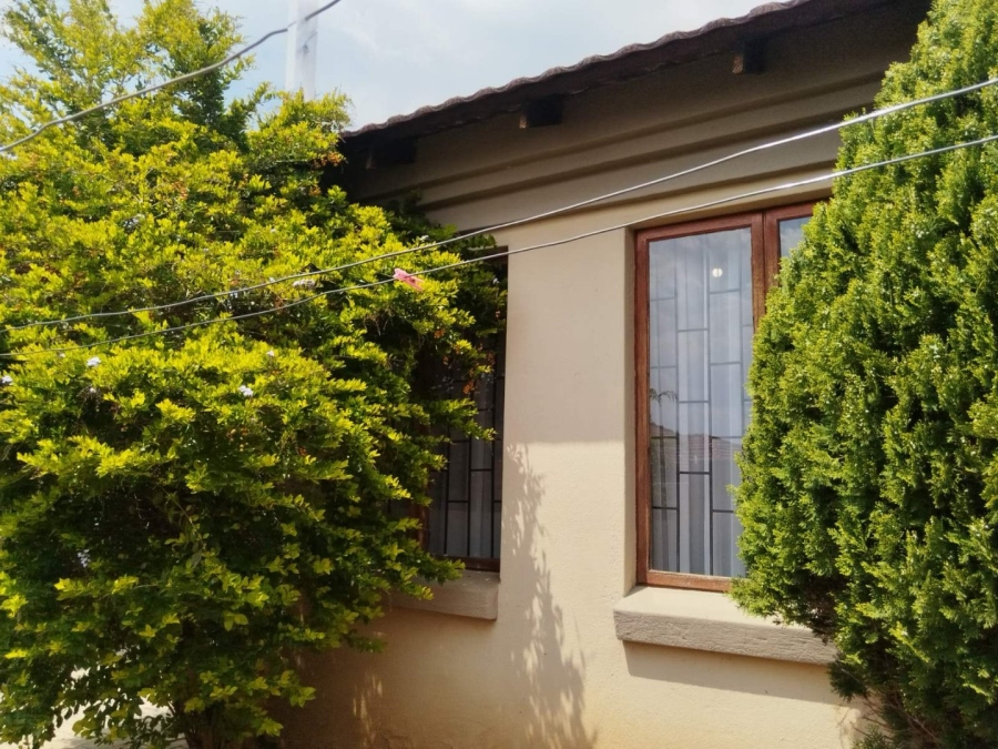 To Let 3 Bedroom Property for Rent in Bendor Limpopo