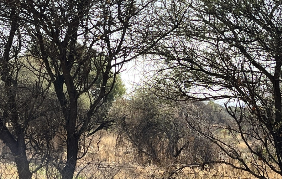 Commercial Property for Sale in Polokwane Rural Limpopo