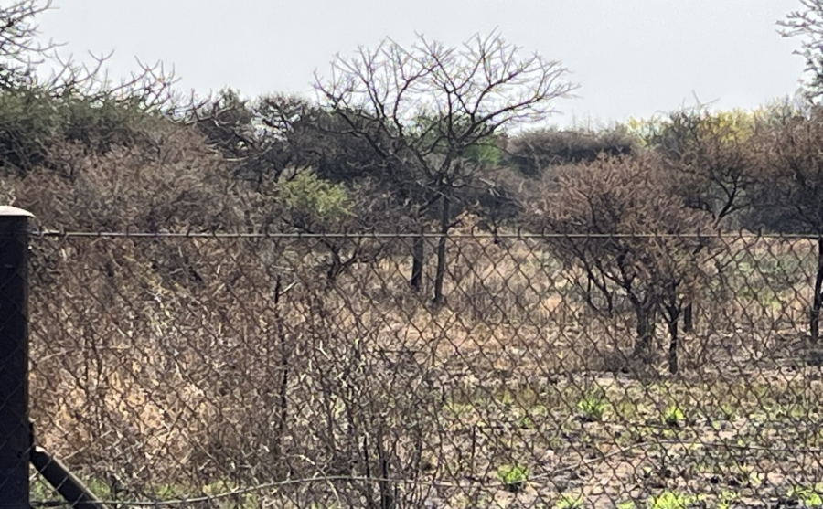Commercial Property for Sale in Polokwane Rural Limpopo