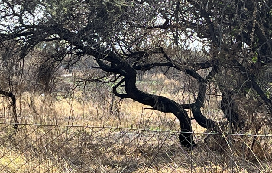 Commercial Property for Sale in Polokwane Rural Limpopo