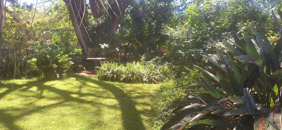 3 Bedroom Property for Sale in Mokopane Central Limpopo
