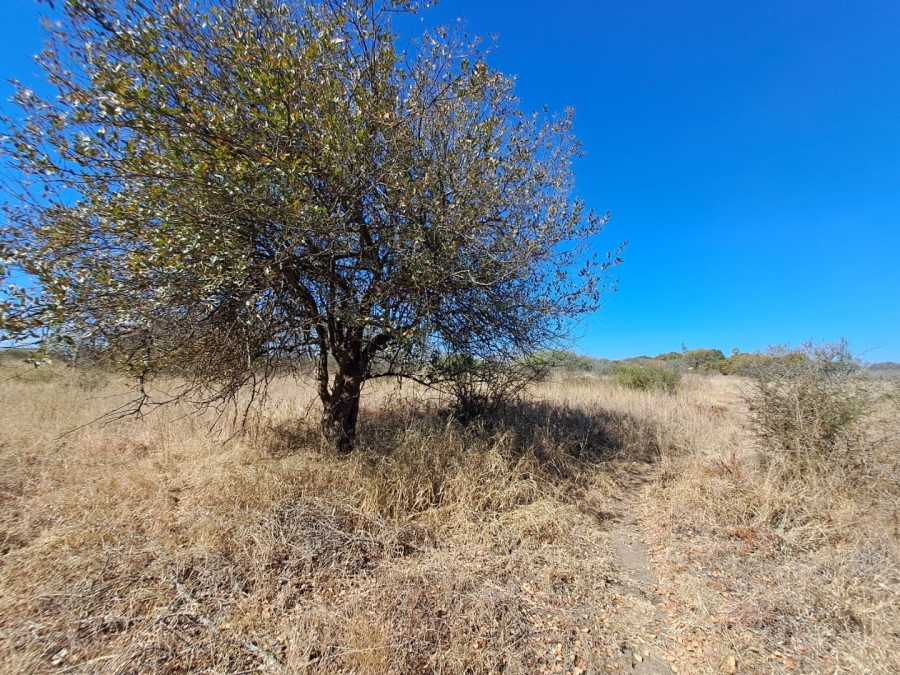  Bedroom Property for Sale in Palm A H Limpopo