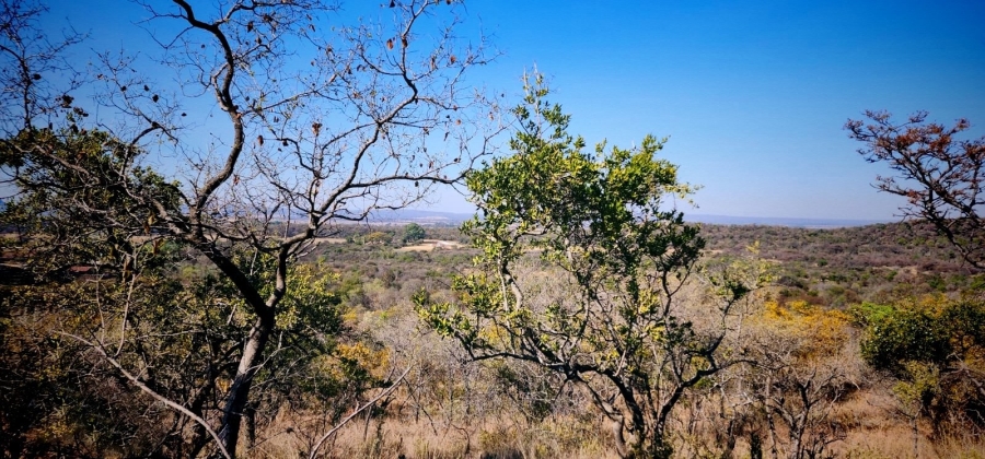Commercial Property for Sale in Modimolle Limpopo