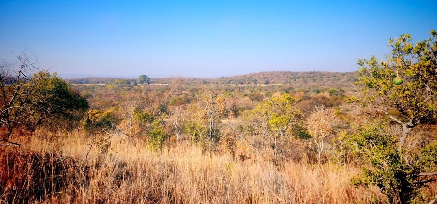 Commercial Property for Sale in Modimolle Limpopo