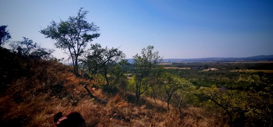 Commercial Property for Sale in Modimolle Limpopo