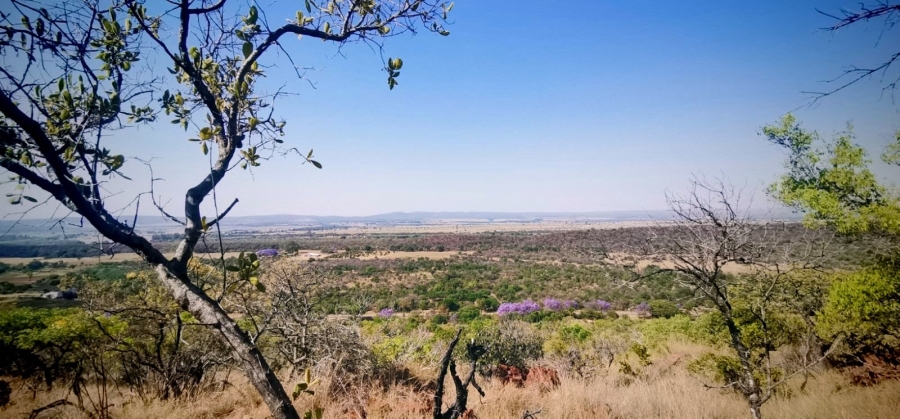 Commercial Property for Sale in Modimolle Limpopo