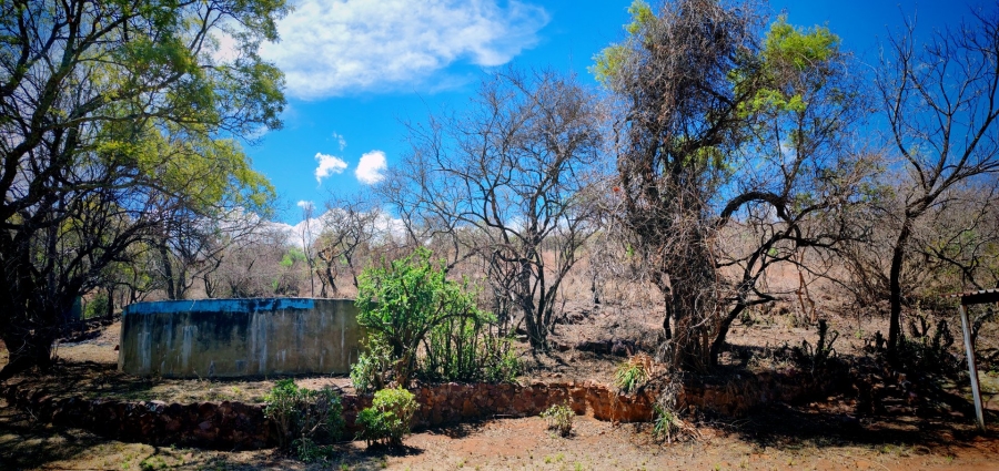 Commercial Property for Sale in Modimolle Limpopo