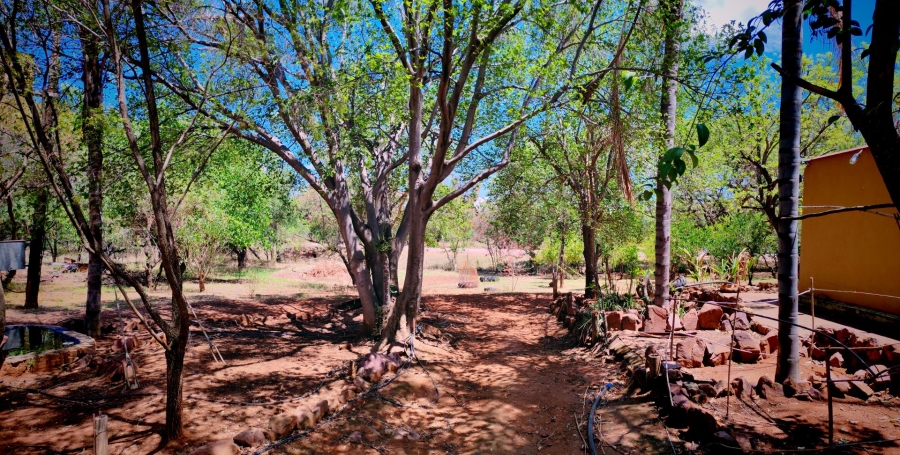 Commercial Property for Sale in Modimolle Limpopo