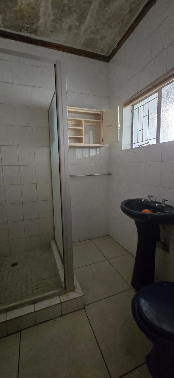 To Let 3 Bedroom Property for Rent in Louis Trichardt Limpopo