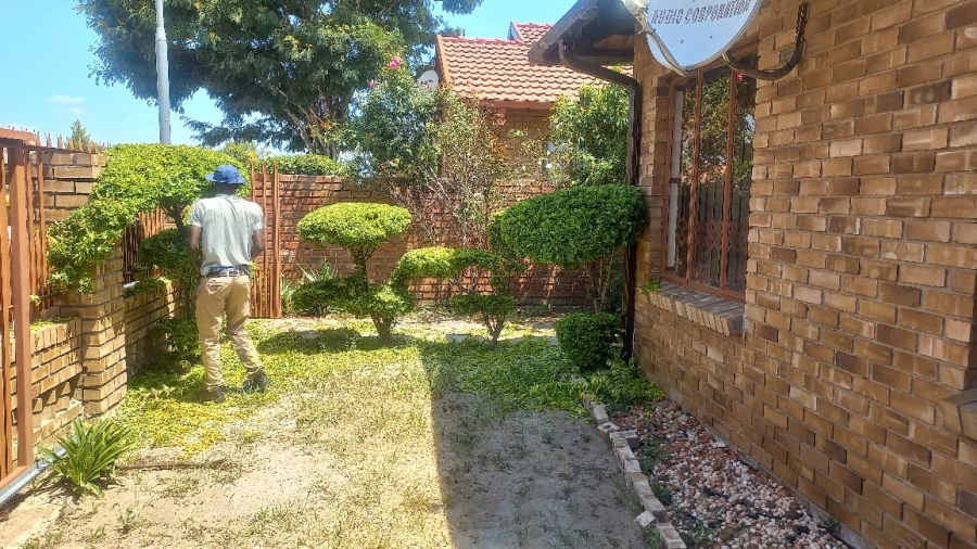 To Let 3 Bedroom Property for Rent in Ivydale A H Limpopo