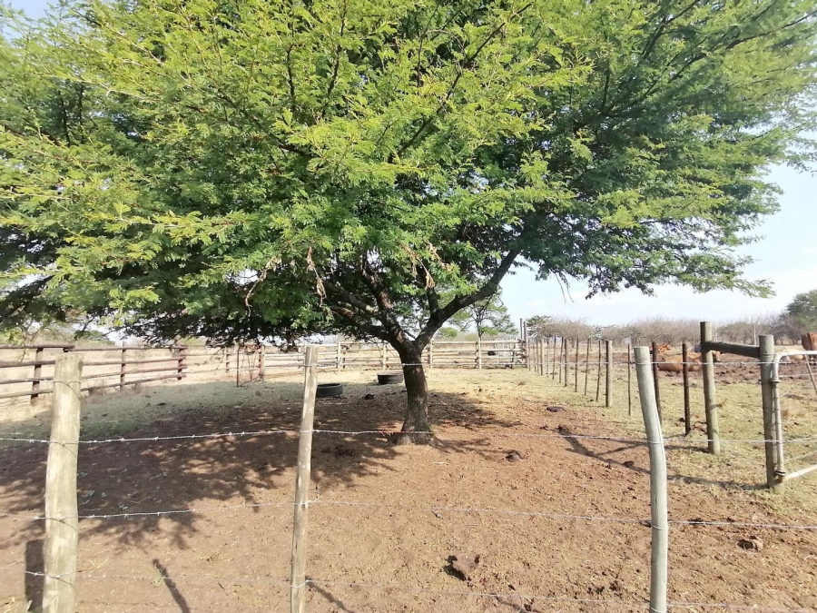  Bedroom Property for Sale in Polokwane Rural Limpopo