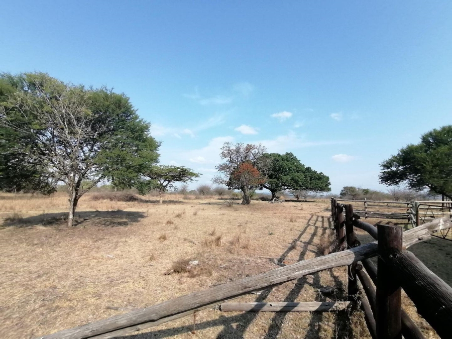  Bedroom Property for Sale in Polokwane Rural Limpopo