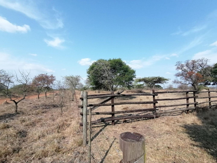  Bedroom Property for Sale in Polokwane Rural Limpopo