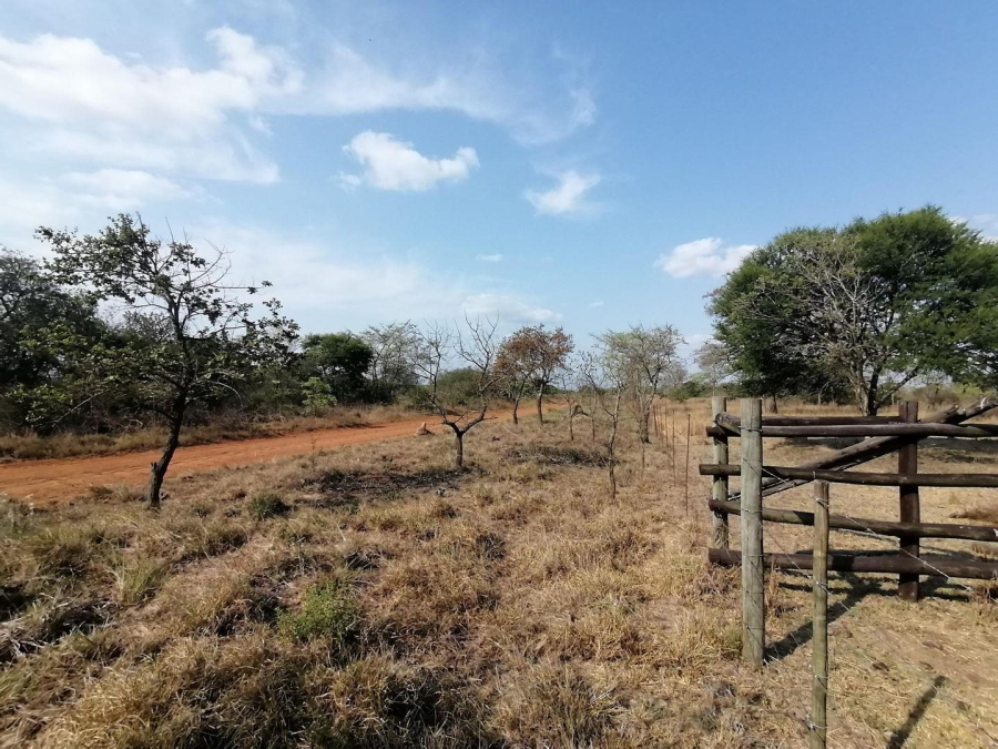  Bedroom Property for Sale in Polokwane Rural Limpopo