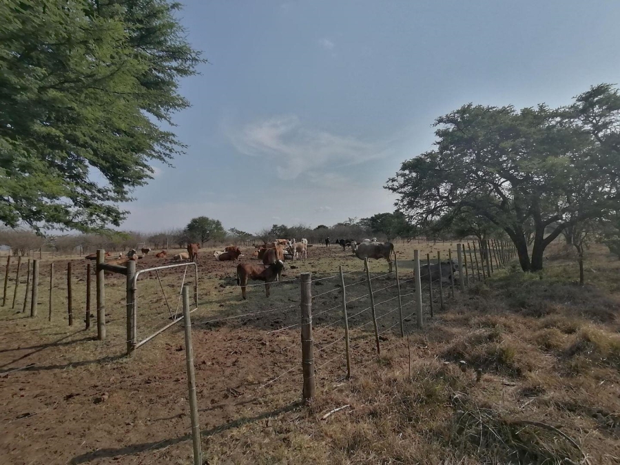  Bedroom Property for Sale in Polokwane Rural Limpopo