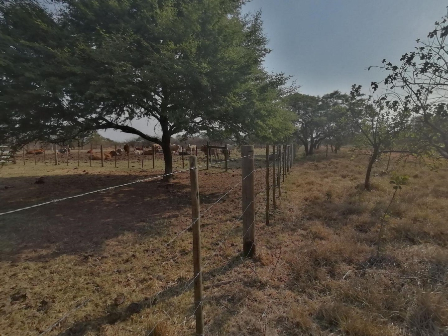  Bedroom Property for Sale in Polokwane Rural Limpopo