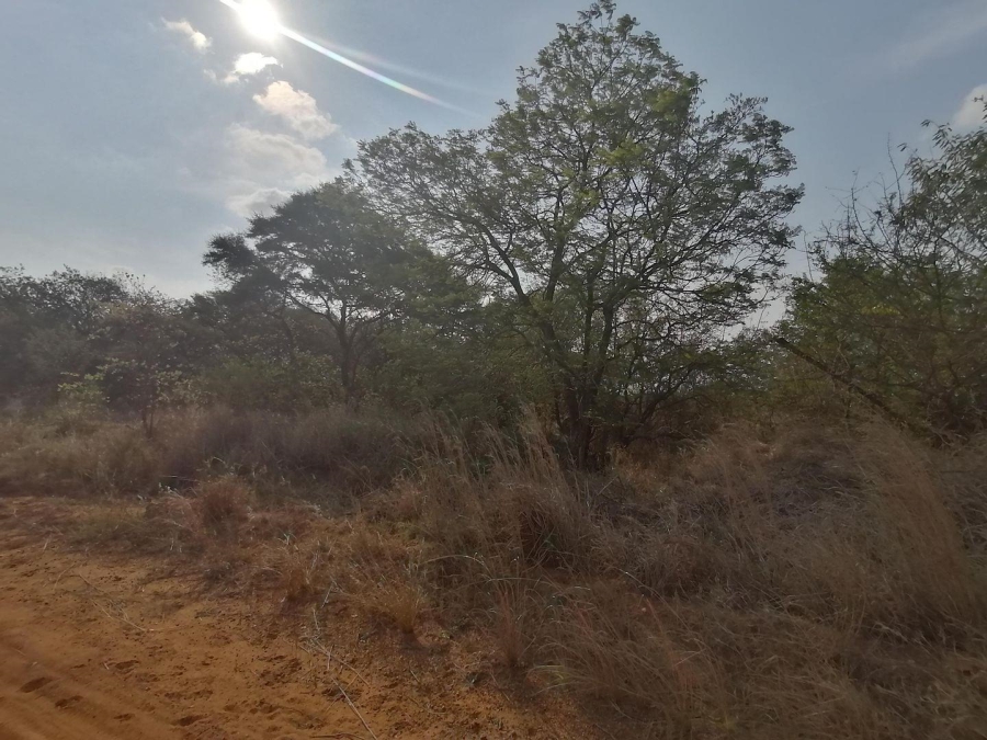  Bedroom Property for Sale in Polokwane Rural Limpopo