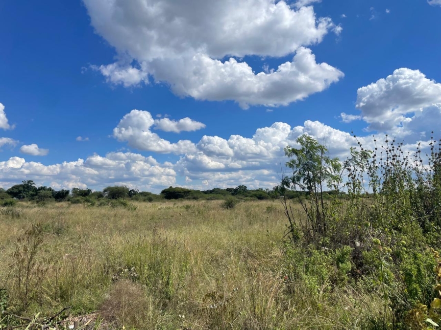  Bedroom Property for Sale in Ivydale Limpopo