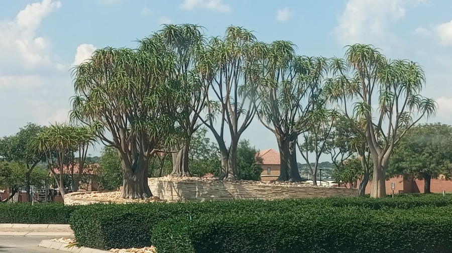  Bedroom Property for Sale in Bendor Limpopo