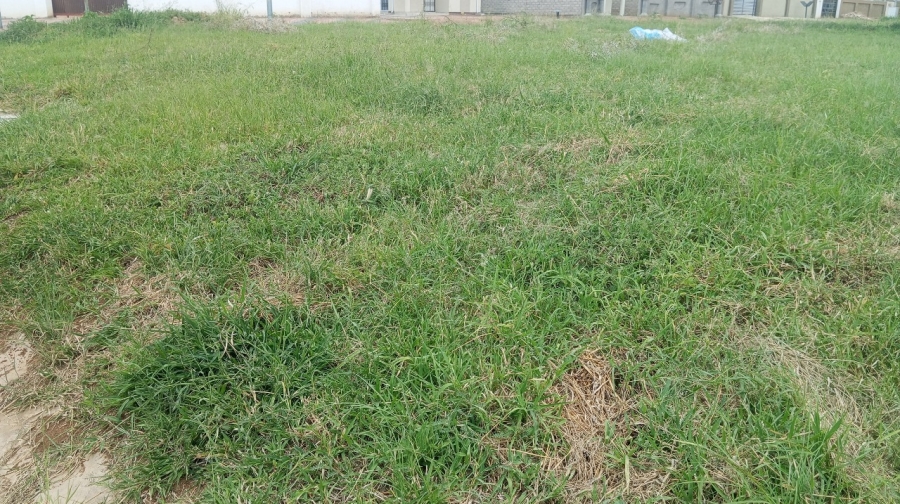  Bedroom Property for Sale in Bendor Limpopo