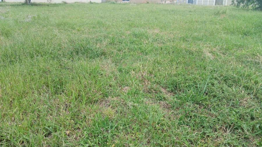  Bedroom Property for Sale in Bendor Limpopo