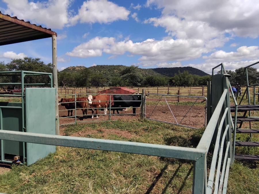 14 Bedroom Property for Sale in Mahwelereng Limpopo